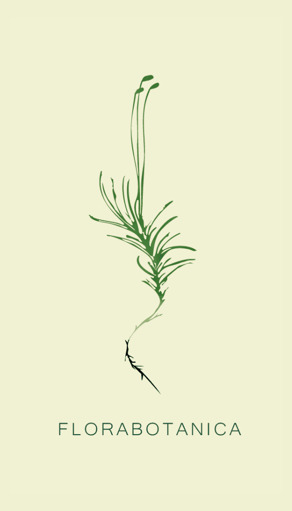 FloraBotanica